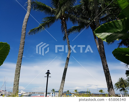 Scenery 2 Scenery 2 65806340