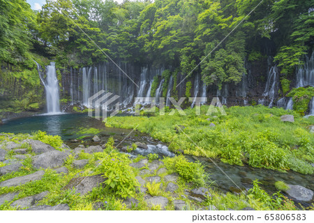 靜岡縣Shiraito瀑布富士宮市 65806583