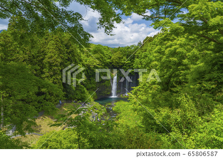 靜岡縣Shiraito瀑布富士宮市 65806587
