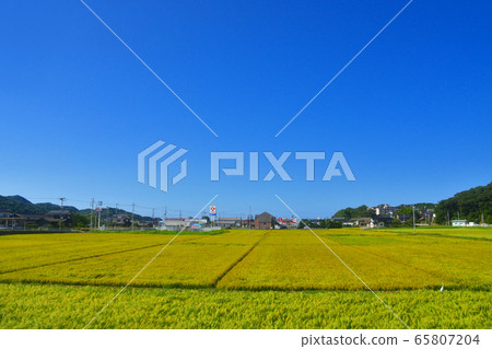 Kyoto Tango Railway Miyatoyo Line window scenery 65807204