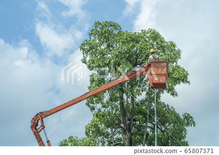Orange Cranes to Repair Cord 65807371