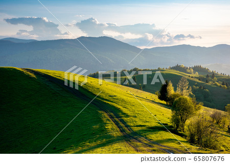 path through countryside fields. beautiful view of 65807676
