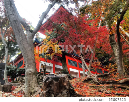 福城寺(Sumaji Temple) 福城寺(Sumaji Temple) 65807823
