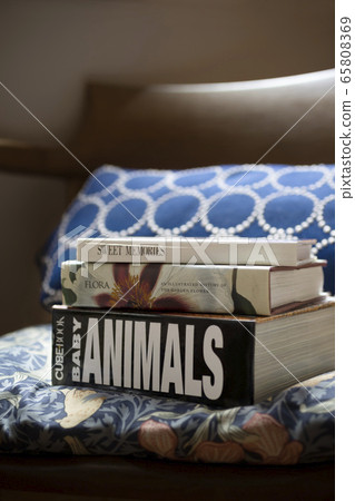 閱讀懷舊 65808369