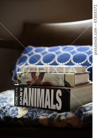 閱讀時尚 65808371