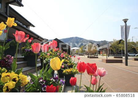 《宮城縣》 Onagawa站前的Hama Terrace 《宮城縣》 Onagawa站前的Hama Terrace 65808518