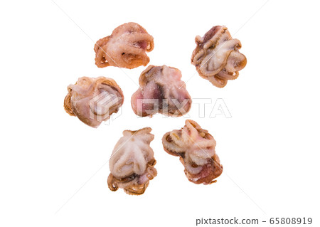 Small frozen octopus isolated on white background 65808919