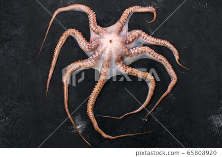 Raw large octopus on black background Raw large octopus on black background 65808920