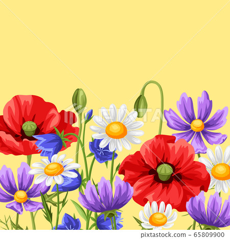 Background with summer flowers. 65809900