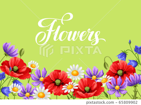 Background with summer flowers. 65809902