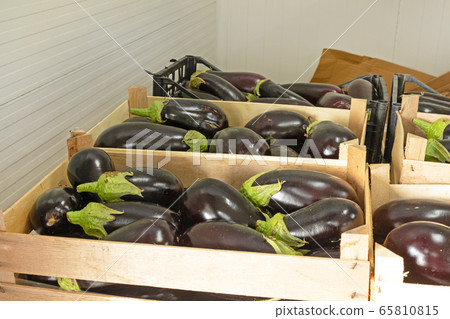 Aubergines in Crates Aubergines in Crates 65810815