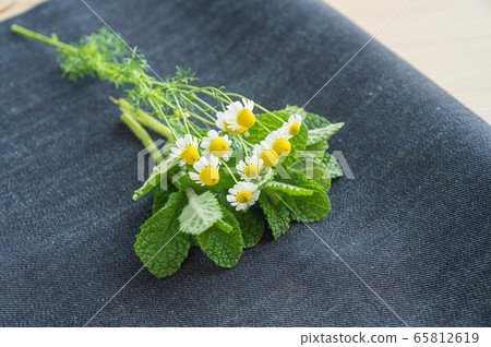 Mint leaves and chamomile flowers 65812619