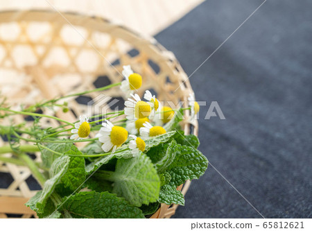 薄荷葉和洋甘菊花 65812621