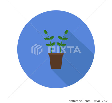 plant 65812870