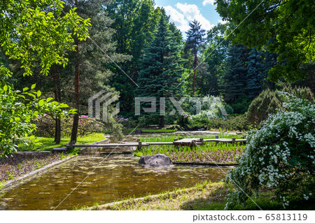 Amazing japanese garden in  Moscow 65813119