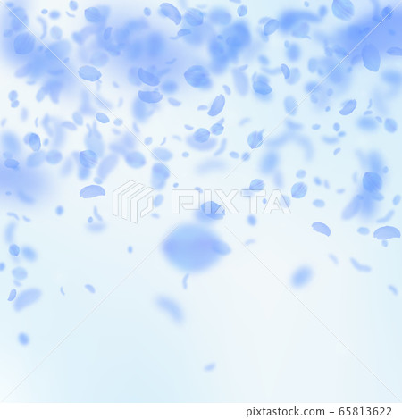Dark blue flower petals falling down. Extraordinar 65813622