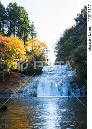 幽谷流域秋色秋色瀑布（千葉縣）攝於2019年12月 65815127