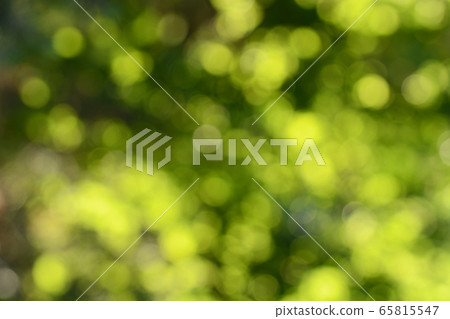 Green abstract background 65815547
