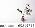 Life style inspiration. Stock photo with empty space for text on the left. Vase and dry Eucalyptus Populus branches isolated on white background. Dried branches in a clay vessel. 65815735