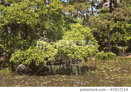 鶴井公園隨行人員粗略完成 鶴井公園隨行人員粗略完成 65817219