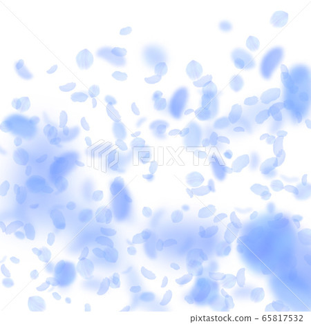 Dark blue flower petals falling down. Glamorous ro Dark blue flower petals falling down. Glamorous ro 65817532