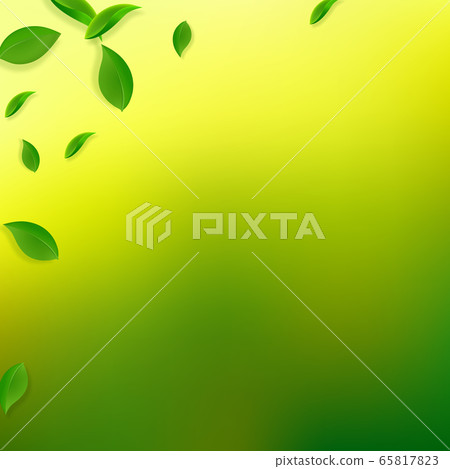 Falling green leaves. Fresh tea chaotic leaves fly Falling green leaves. Fresh tea chaotic leaves fly 65817823