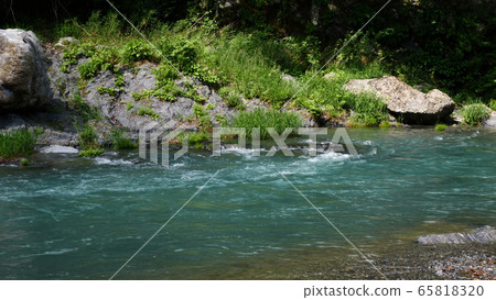 Mountain stream of Okutama River Mountain stream of Okutama River 65818320