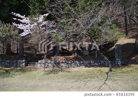 水戶七日塚（Nakasendo Wada Pass）（長野縣下mo訪市） 65818395