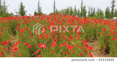 始興蓋谷生態公園 65818680