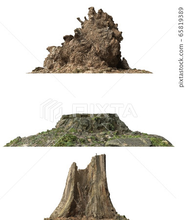 Stump dead tree isolated on white 3d illustration 65819389