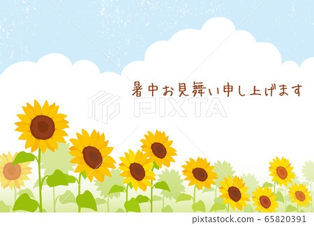 Visit in the summer sunflower field Visit in the summer sunflower field 65820391