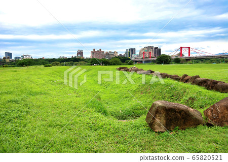 蝴蝶花海河濱公園的大片草原 65820521