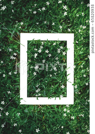 Creative green floral background of natural leaves and meadow grass with white frame copy space Creative green floral background of natural leaves and meadow grass with white frame copy space 65820938