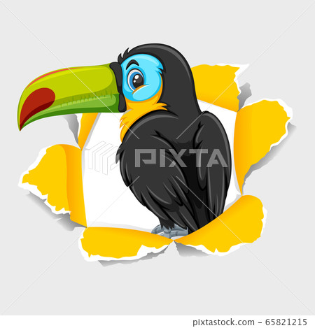 Background template design with wild toucan bird Background template design with wild toucan bird 65821215