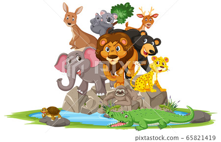 Wild animals standing on stone cartoon character Wild animals standing on stone cartoon character 65821419