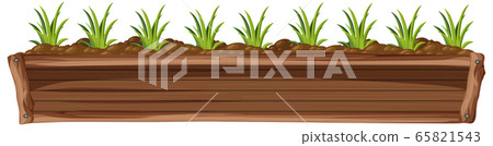 Green plants in wooden box on white background Green plants in wooden box on white background 65821543