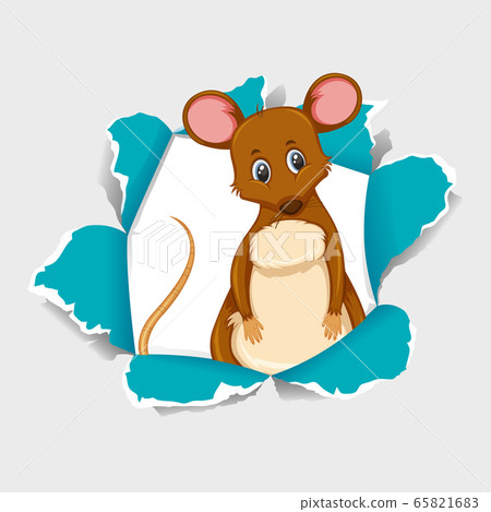 Background template design with wild mouse on gray Background template design with wild mouse on gray 65821683