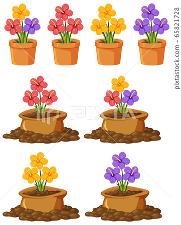 Colorful flowers in clay pots on white background Colorful flowers in clay pots on white background 65821728