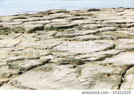 Okinawa Obujima Tatami 65822020