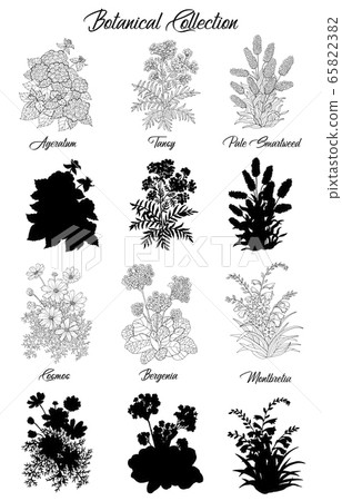 Set Of Black And White Outline Flowers Stock Illustration 65822382 Pixta