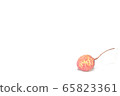 one fresh red Lychee isolated on white background empty copy space 65823361
