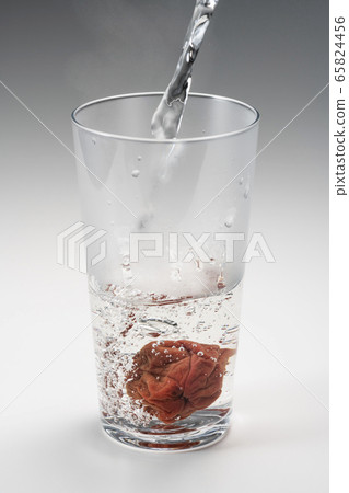 燒酒熱水梅林 65824456