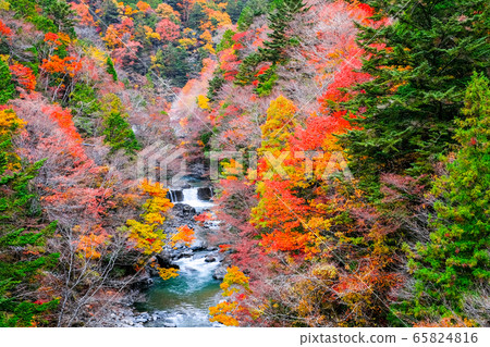Tsuchikyo Gorge (Autumn) Tsuchikyo Gorge (Autumn) 65824816