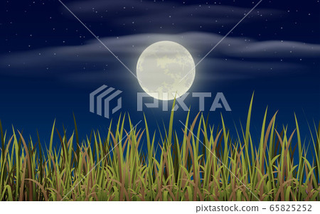 landscape of meadow in full moon night landscape of meadow in full moon night 65825252