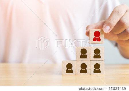 Human resource and talent management and recruitment business concept 65825489