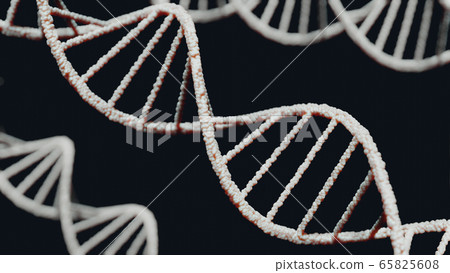 dna, gene, background 65825608