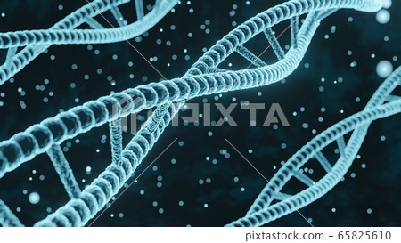 dna, spiral, gene 65825610