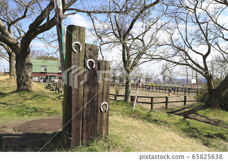 Horse Mother Farm in Spring Horse Mother Farm in Spring 65825638