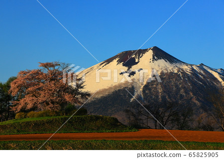 岩手和櫻花 岩手和櫻花 65825905