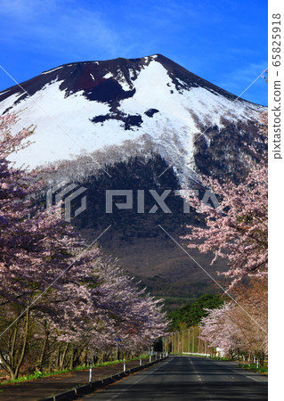 Iwate and Sakura Iwate and Sakura 65825918